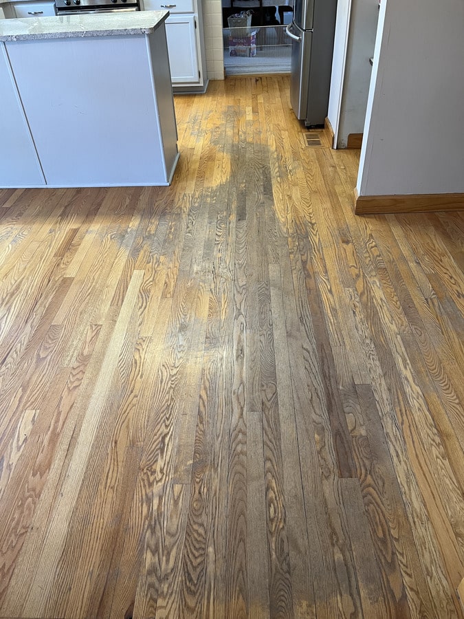 Meyer Residence — before refinishing