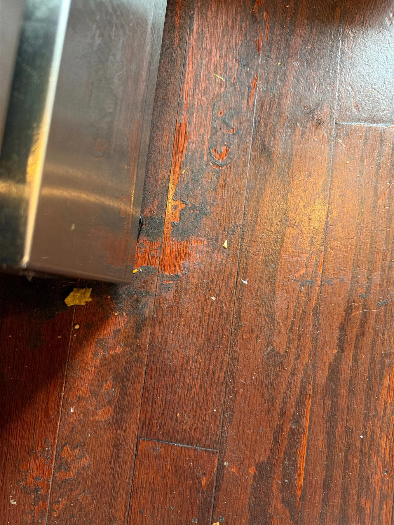 Washington, D.C. West: Prefinished Red Oak Kitchen – before refinishing