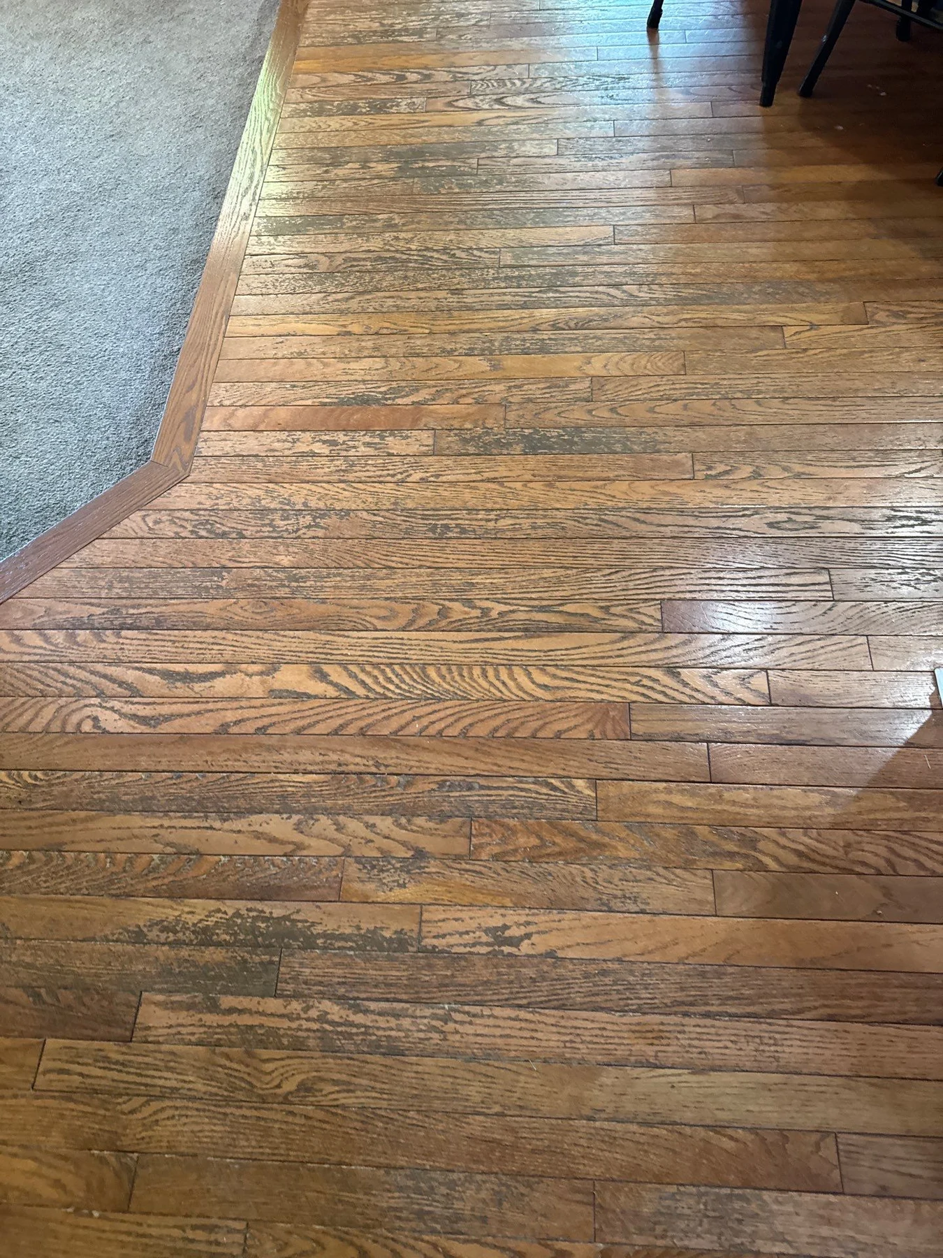 East Cincinnati: Living Room – before refinishing