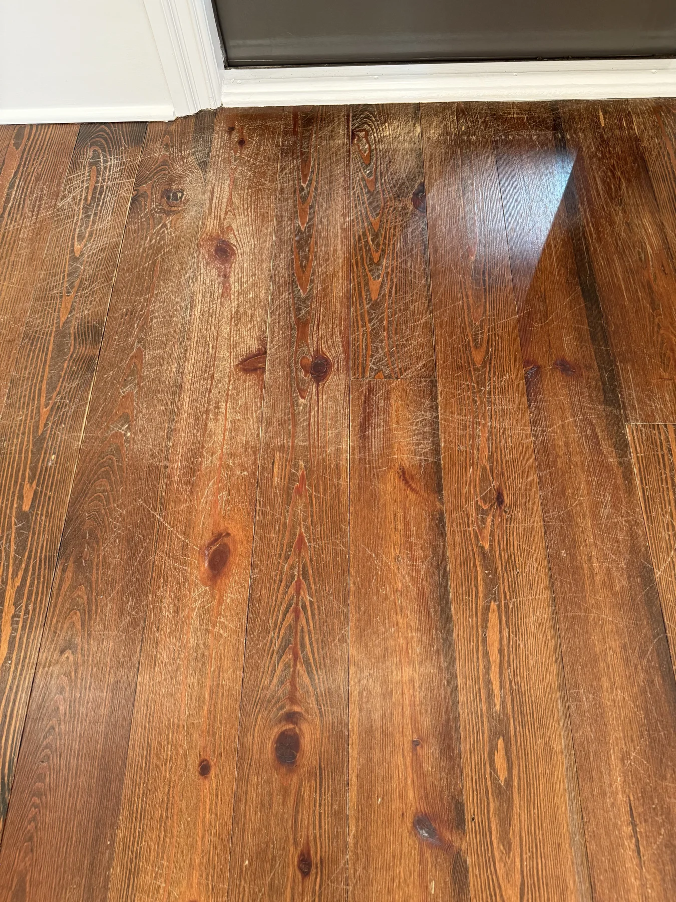 South Charlotte: Back Door – before refinishing