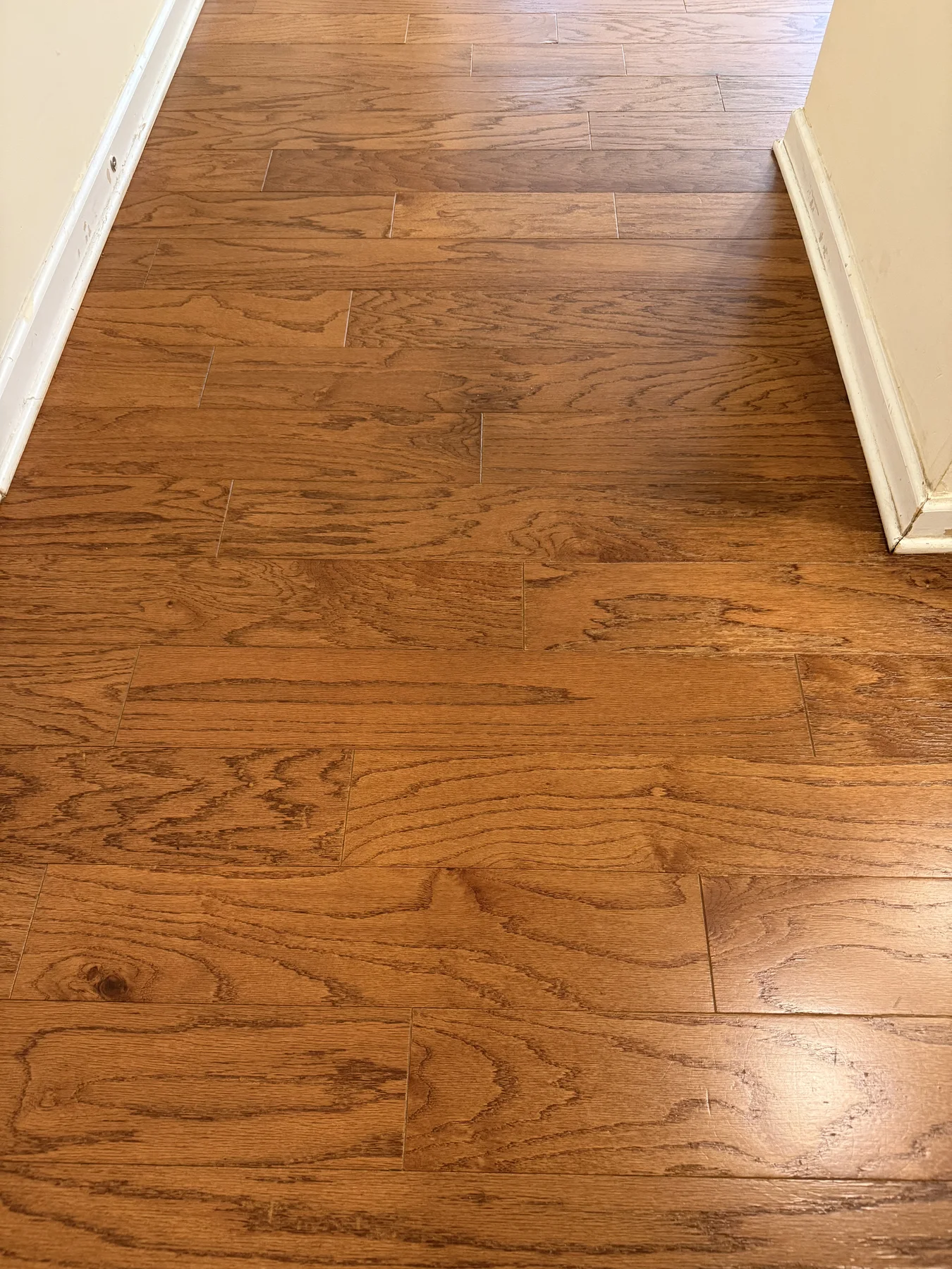 South Charlotte: Hall – after ReCoat Revolution refinishing