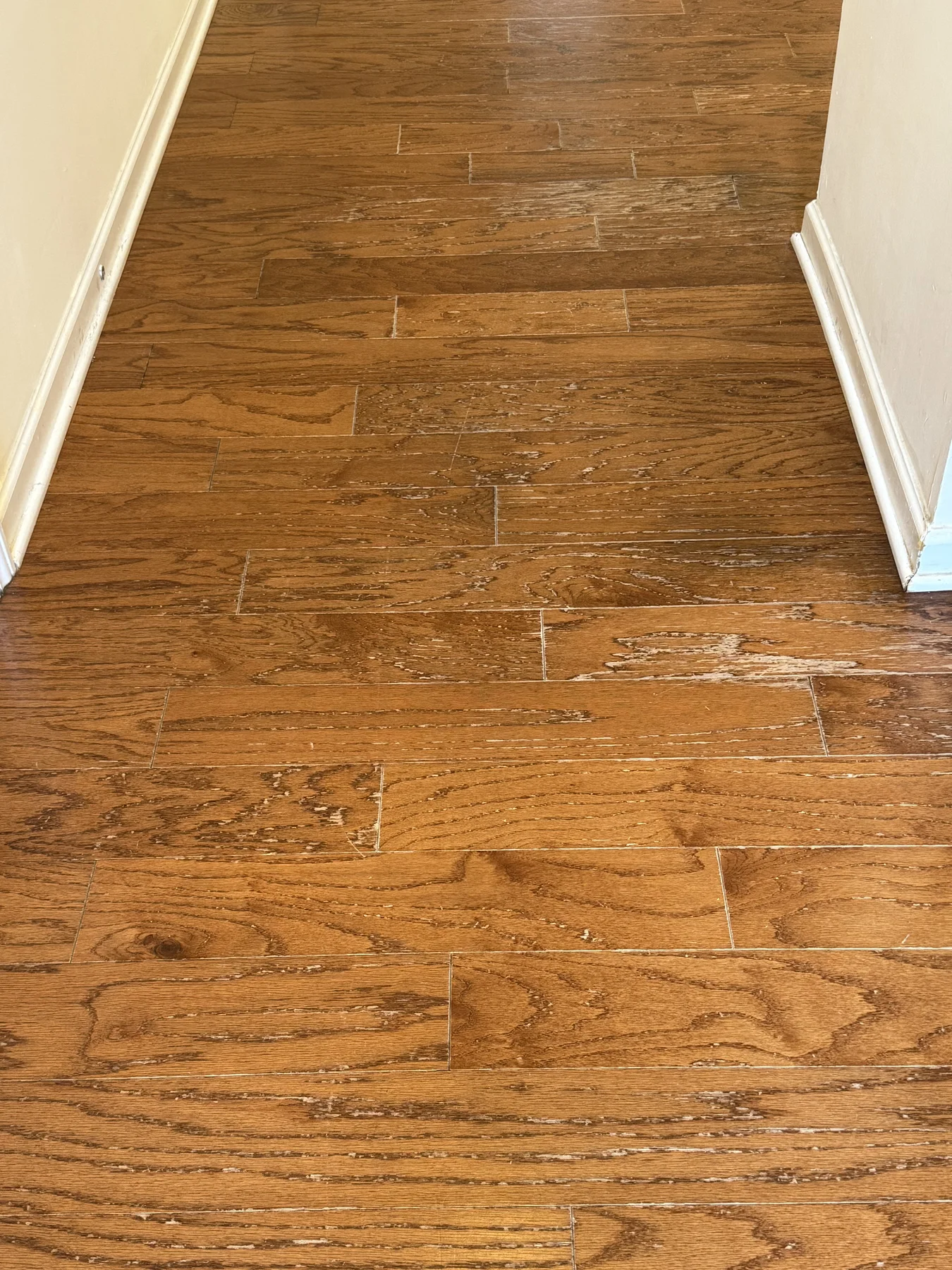 South Charlotte: Hall – before refinishing