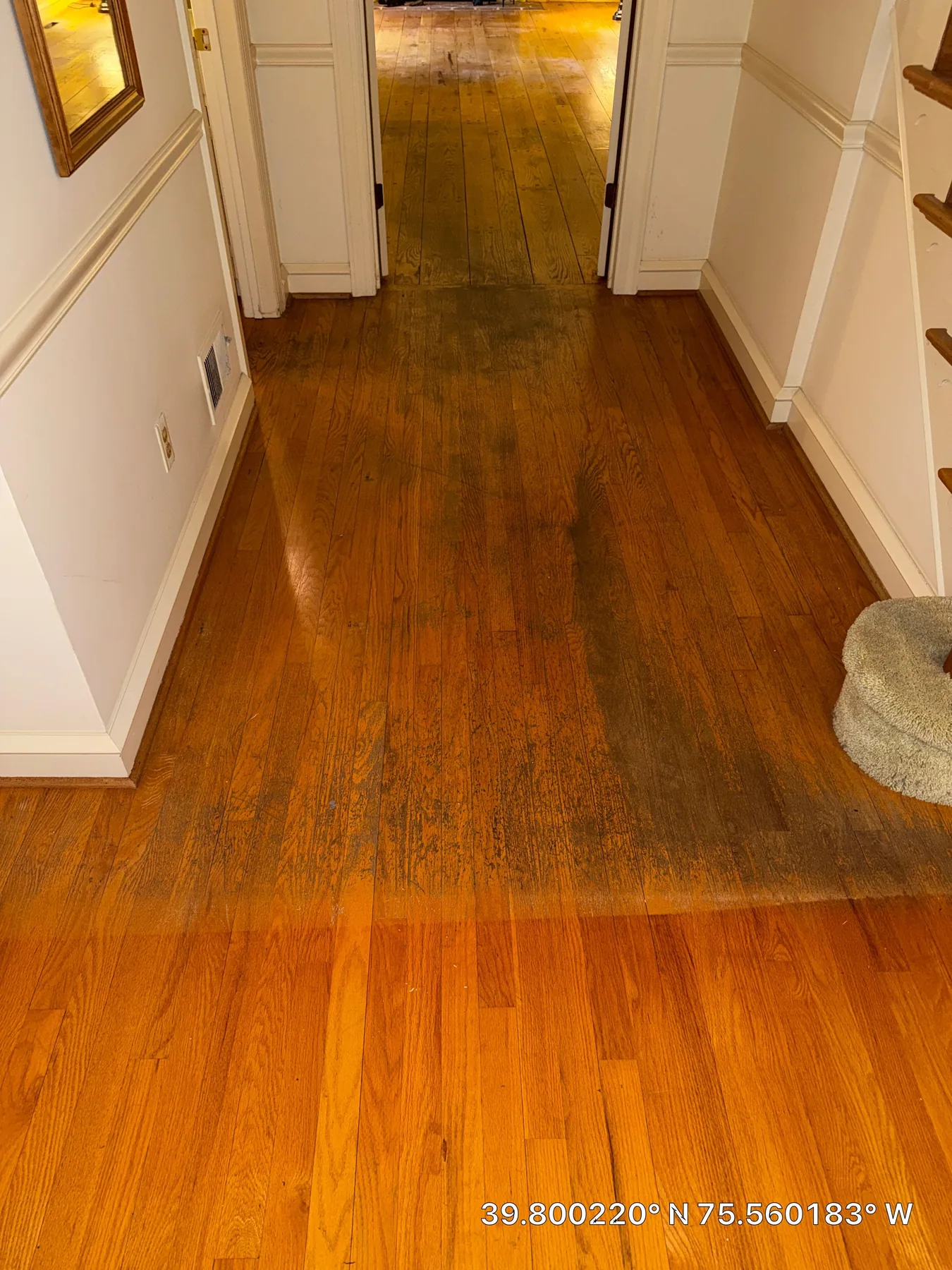 Wilmington: Entryway – before refinishing