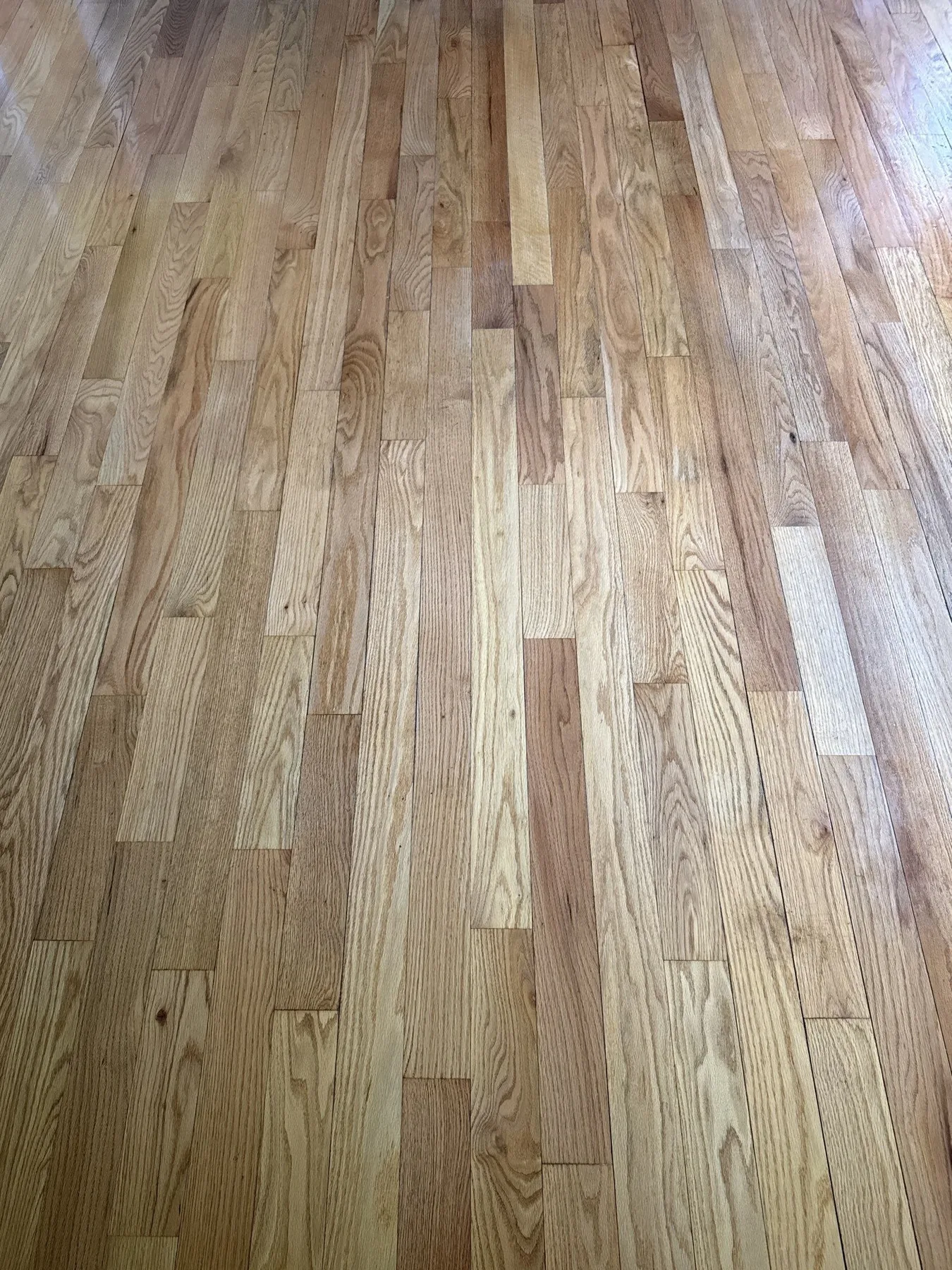 Wilmington: Living Room – after ReCoat Revolution refinishing