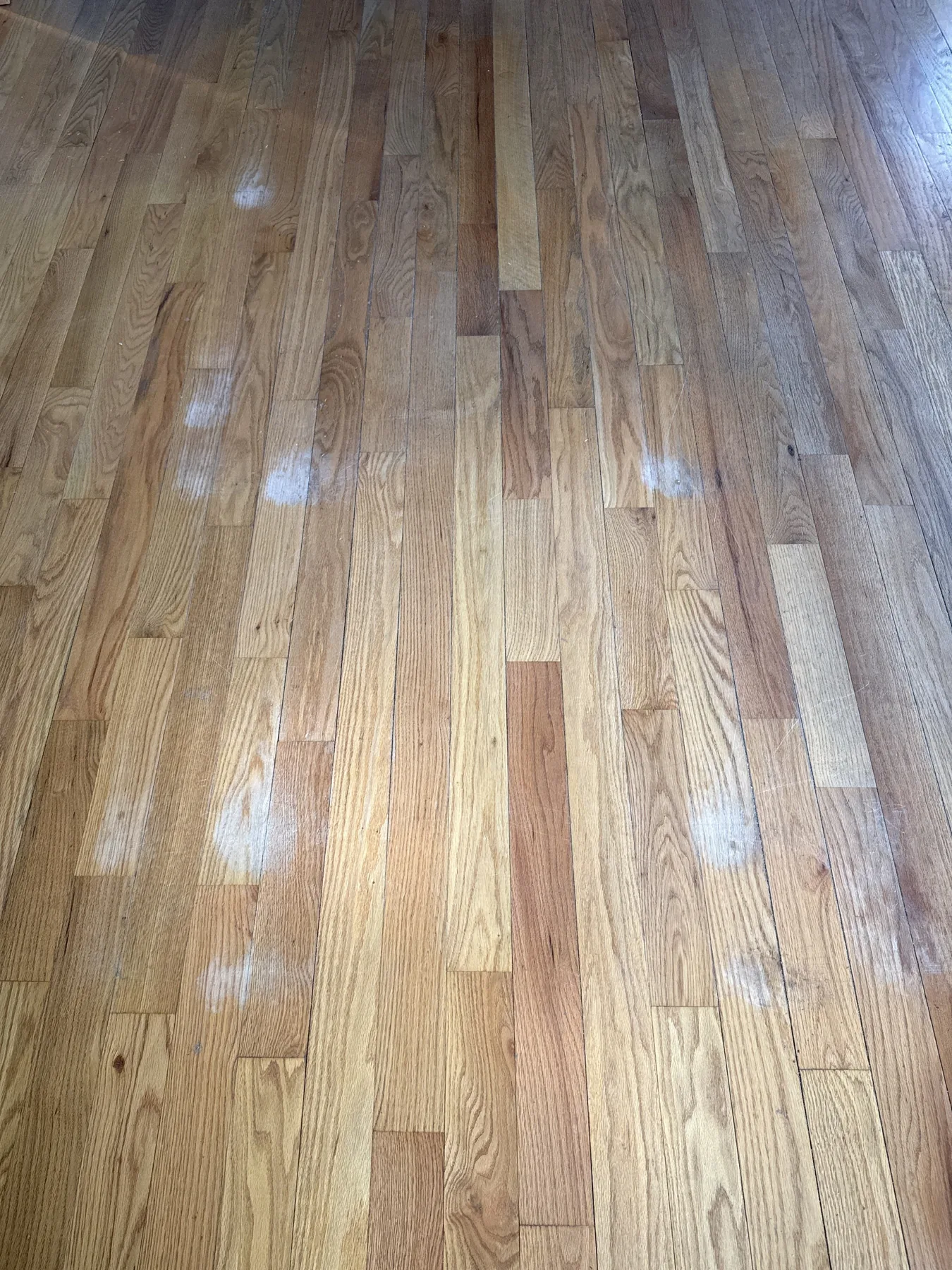 Wilmington: Living Room – before refinishing