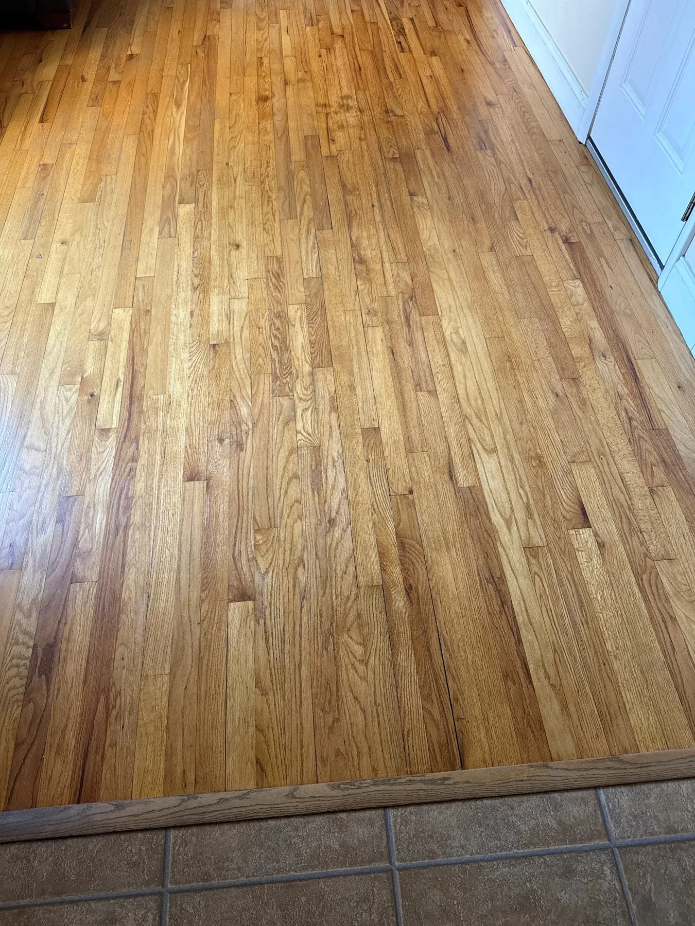 Wilmington: Sun Room – after ReCoat Revolution refinishing