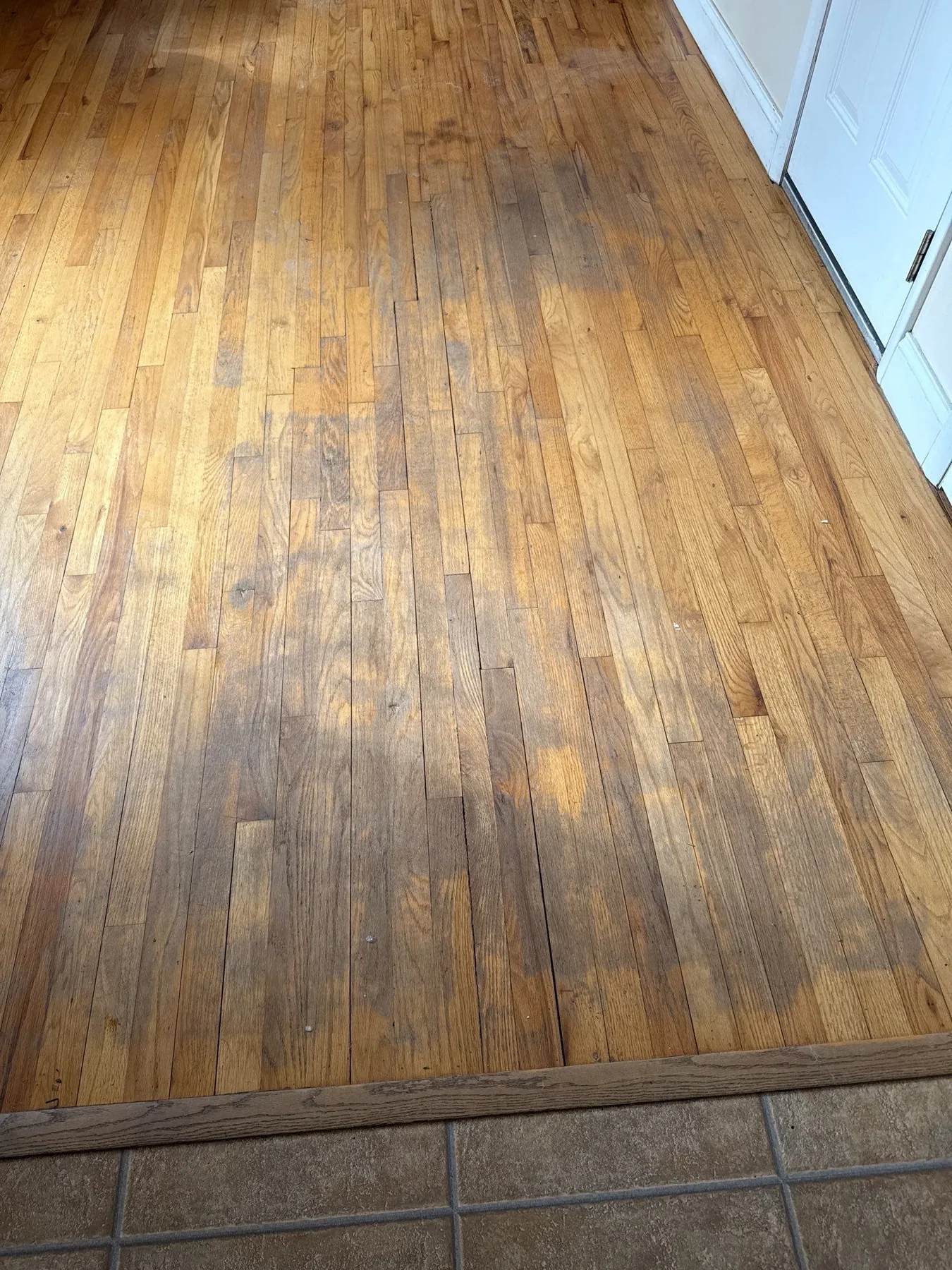 Wilmington: Sun Room – before refinishing