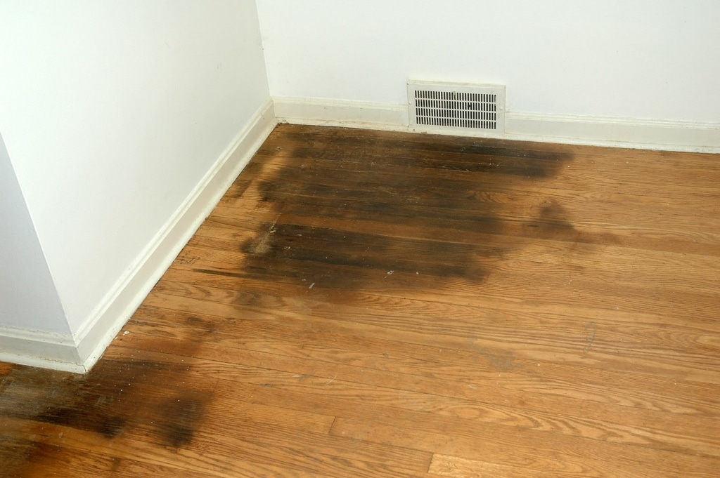 Dark staining across several hardwood boards near a wall.